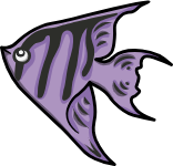 Angel Fish