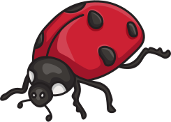 Ladybug Charm