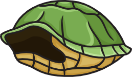 Turtle Shell